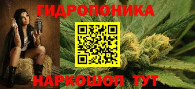 ECSTASY Новодвинск