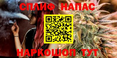 ECSTASY Новодвинск