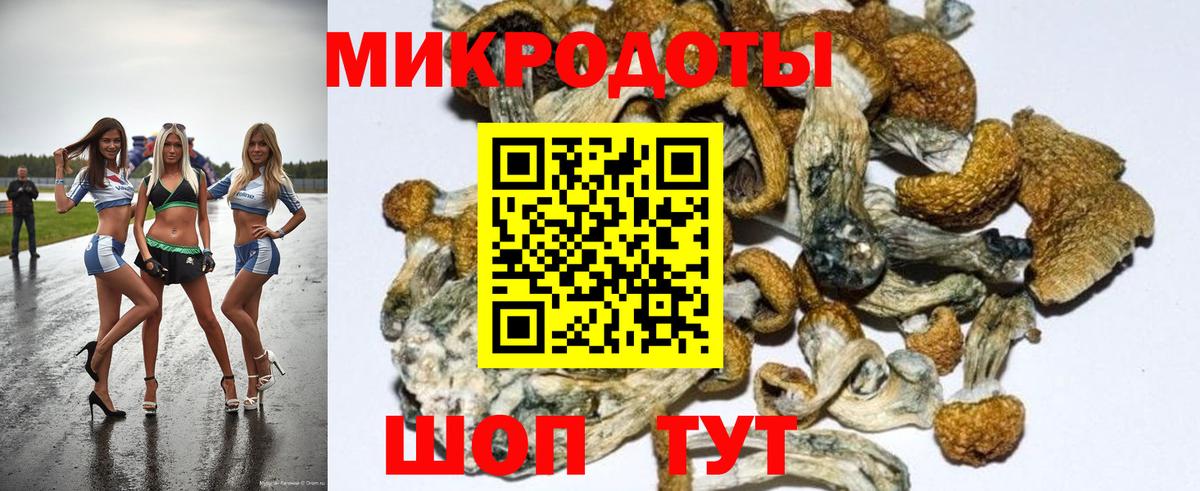 Анапа  Псилоцибиновые грибы мицелий  Галлюциногенные грибы MAGIC MUSHROOMS  Вход с VPN 